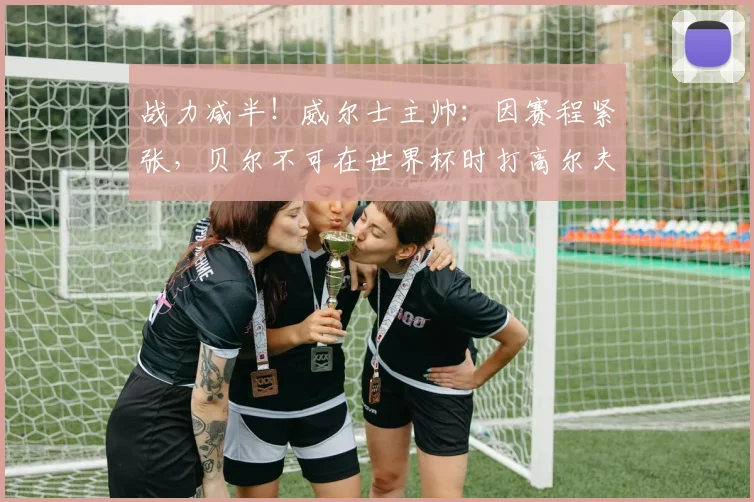 战力减半！威尔士主帅：因赛程紧张，贝尔不可在世界杯时打高尔夫