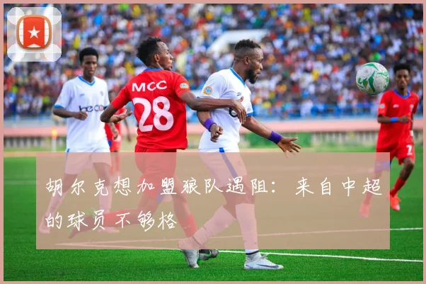 胡尔克想加盟狼队遇阻：来自中超的球员不够格